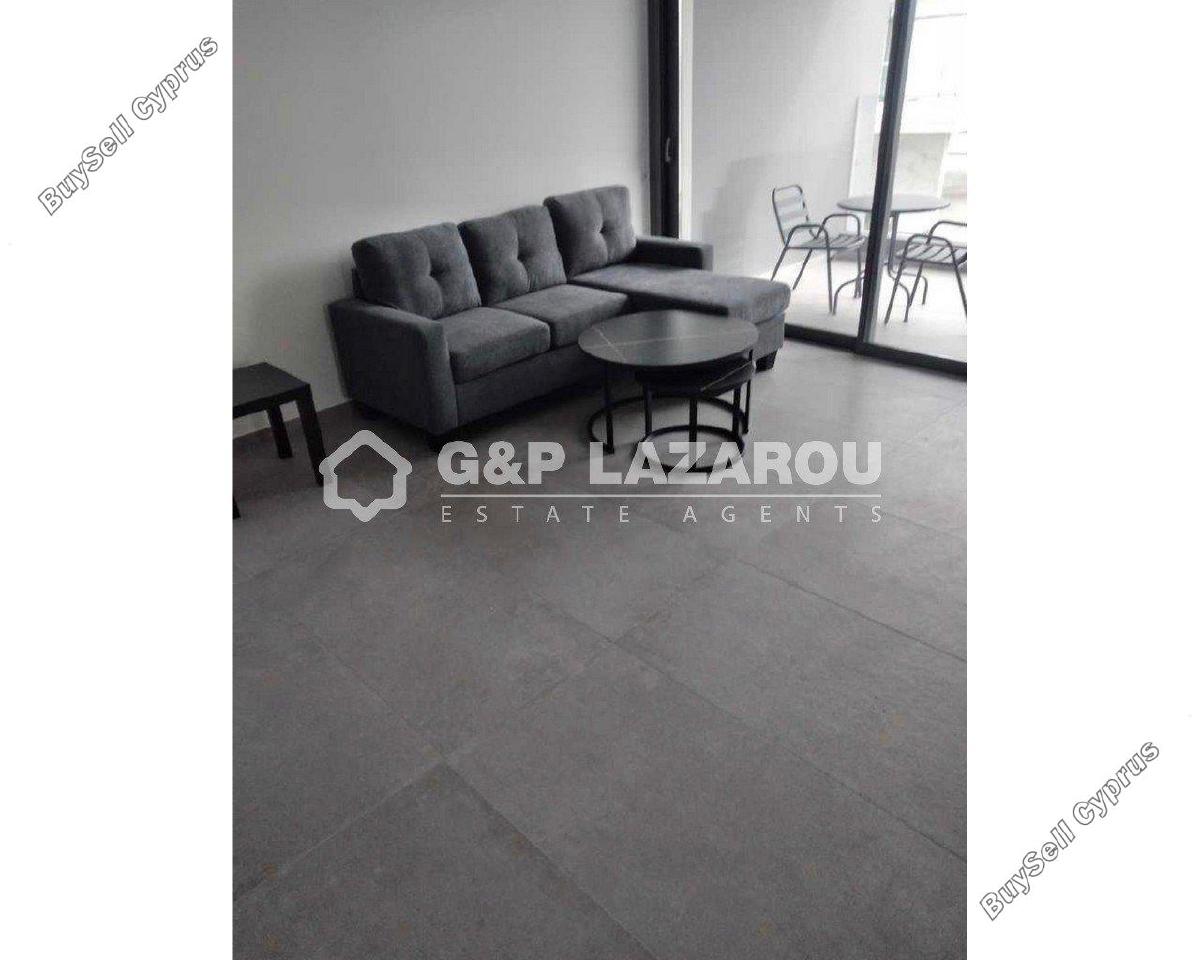1 bedroom apartment for rent parissinos nicosia 8112075 image 16335157