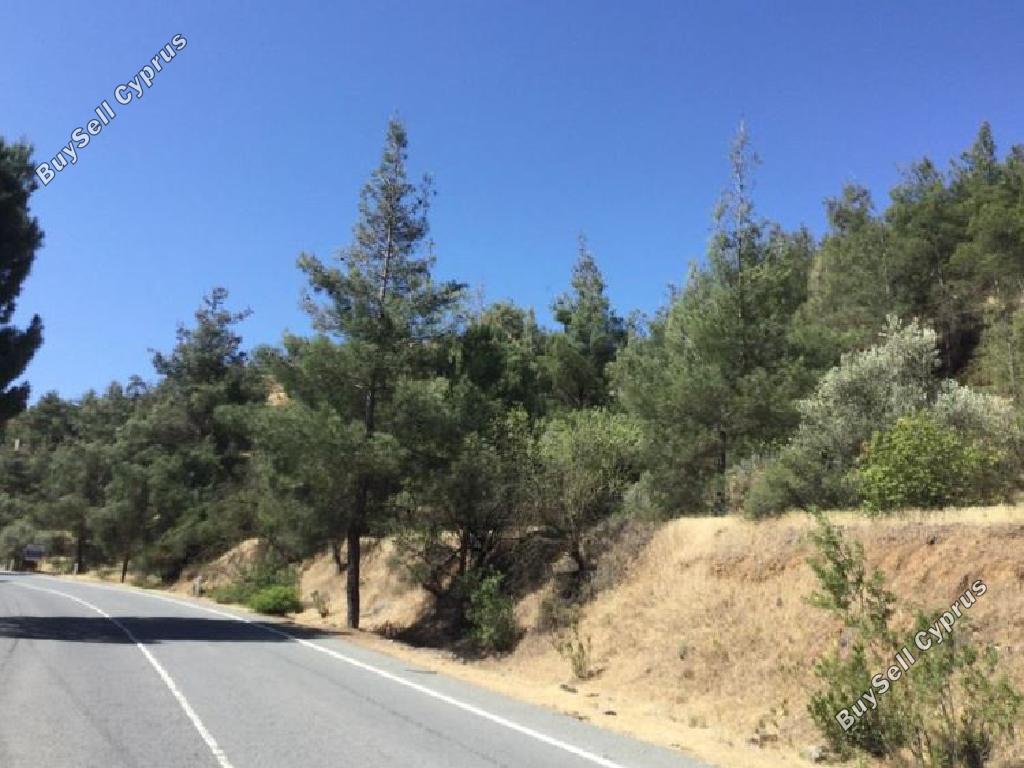 land for sale agios epifanios oreinis nicosia 946075 image 15603665