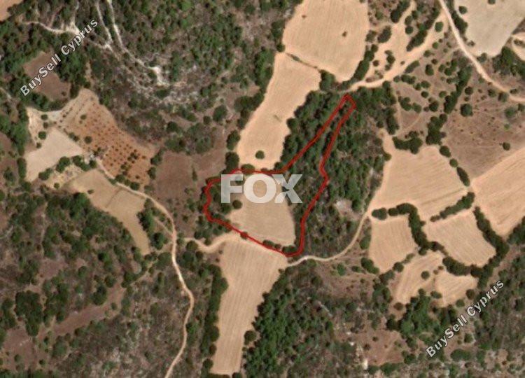 land for sale lysos paphos 1159075 image 5517147