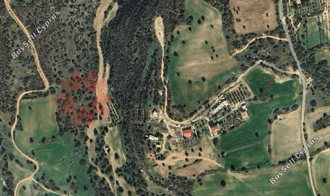land for sale agios theodoros larnacas larnaca 1884175 image 7049582