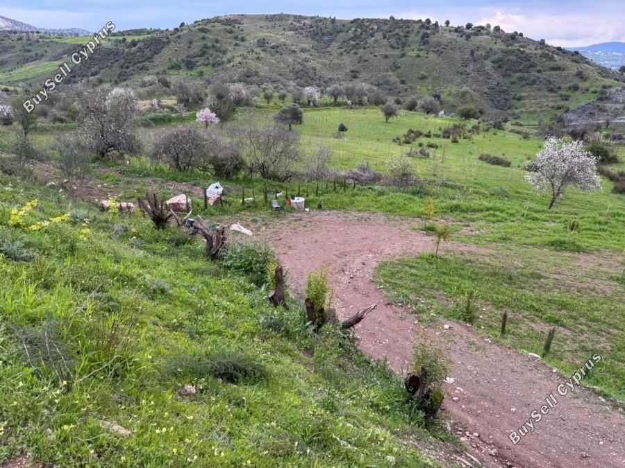 land for sale nata paphos 8382175 image 14703284
