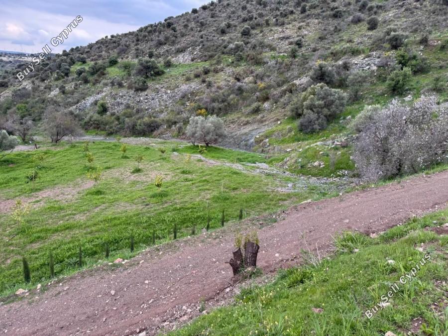 land for sale nata paphos 8382175 image 14703287