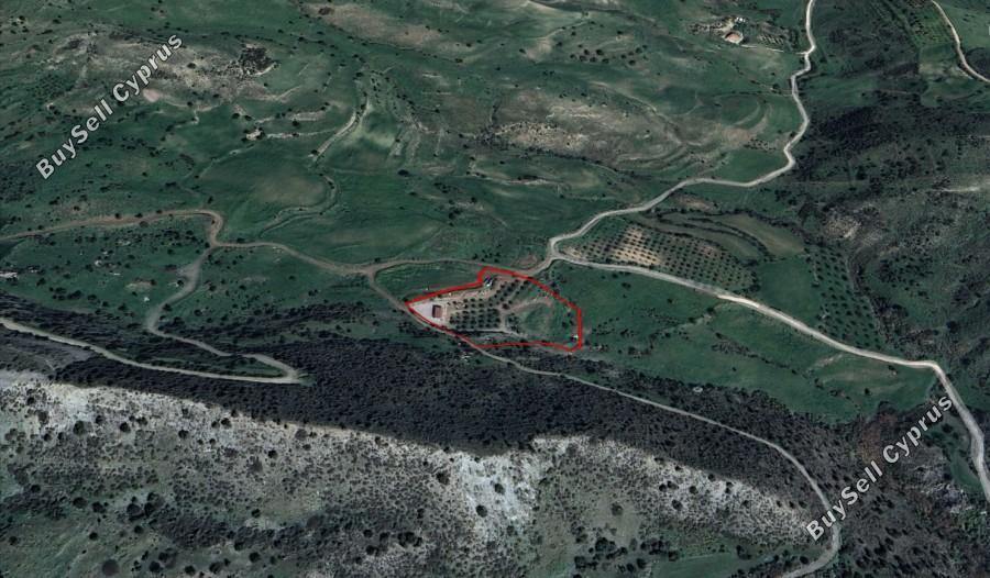 land for sale nata paphos 8382175 image 14703292