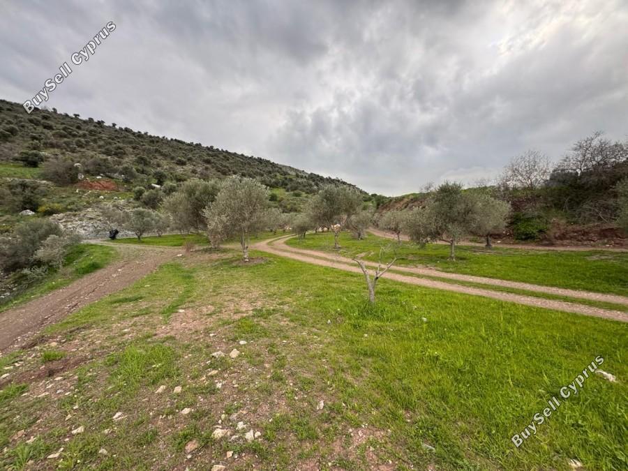 land for sale nata paphos 8382175 image 14703295