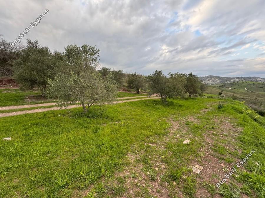 land for sale nata paphos 8382175 image 14703296
