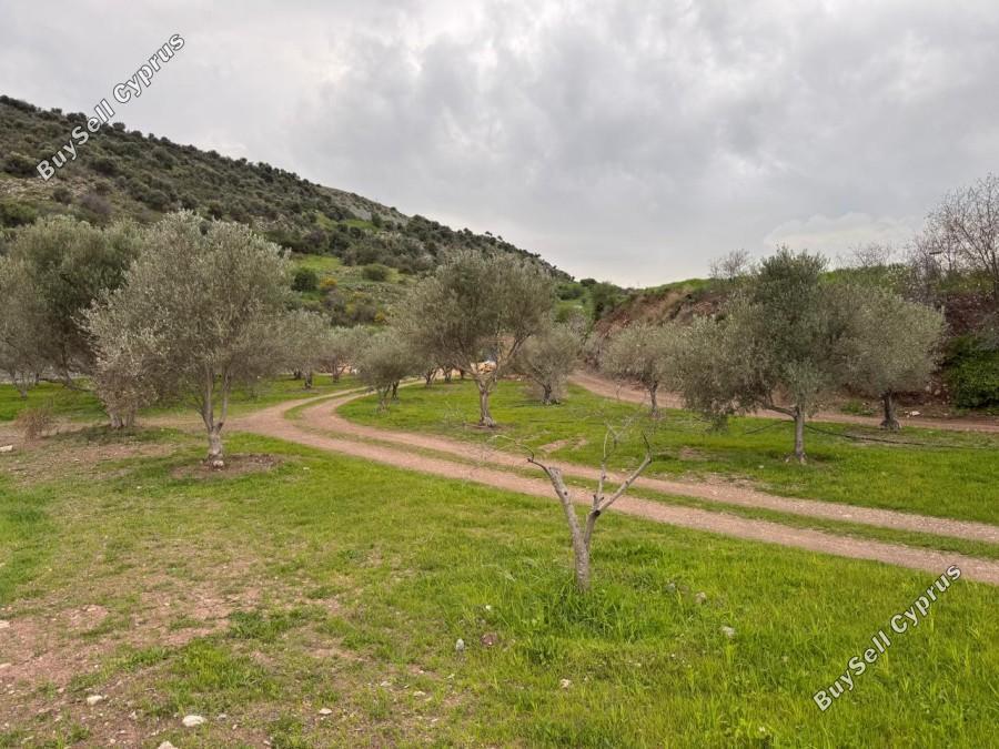 land for sale nata paphos 8382175 image 14703297