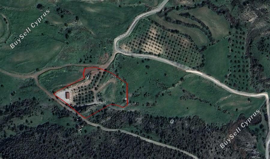 land for sale nata paphos 8382175 image 14703302