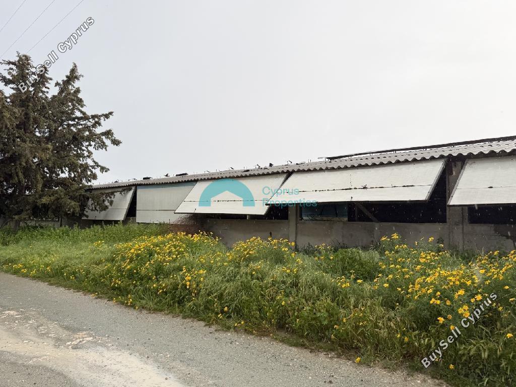 studio warehouse for sale aradippou larnaca 8442175 image 15093946