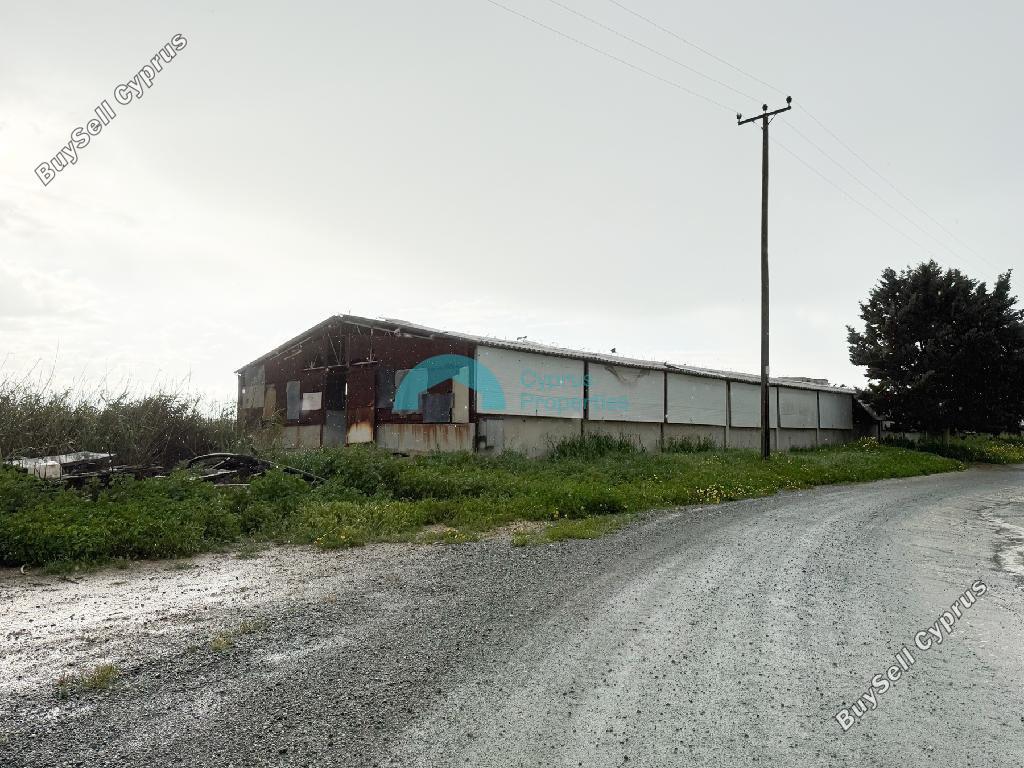 studio warehouse for sale aradippou larnaca 8442175 image 15093948