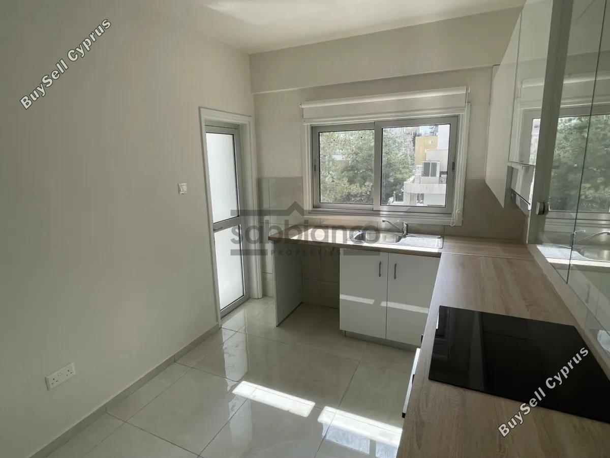 1 bedroom apartment for rent agioi omologitai nicosia 8749275 image 16474666