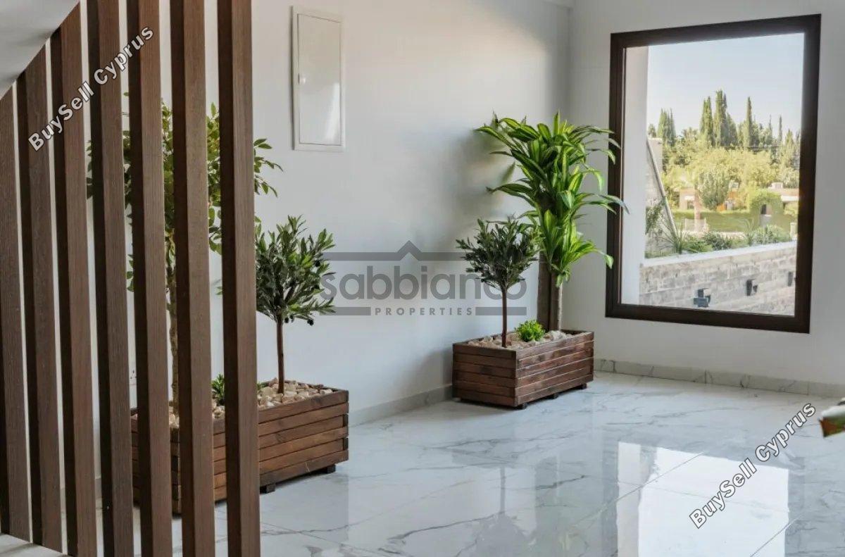 2 bedroom apartment for sale kato paphos paphos 8752275 image 16500574
