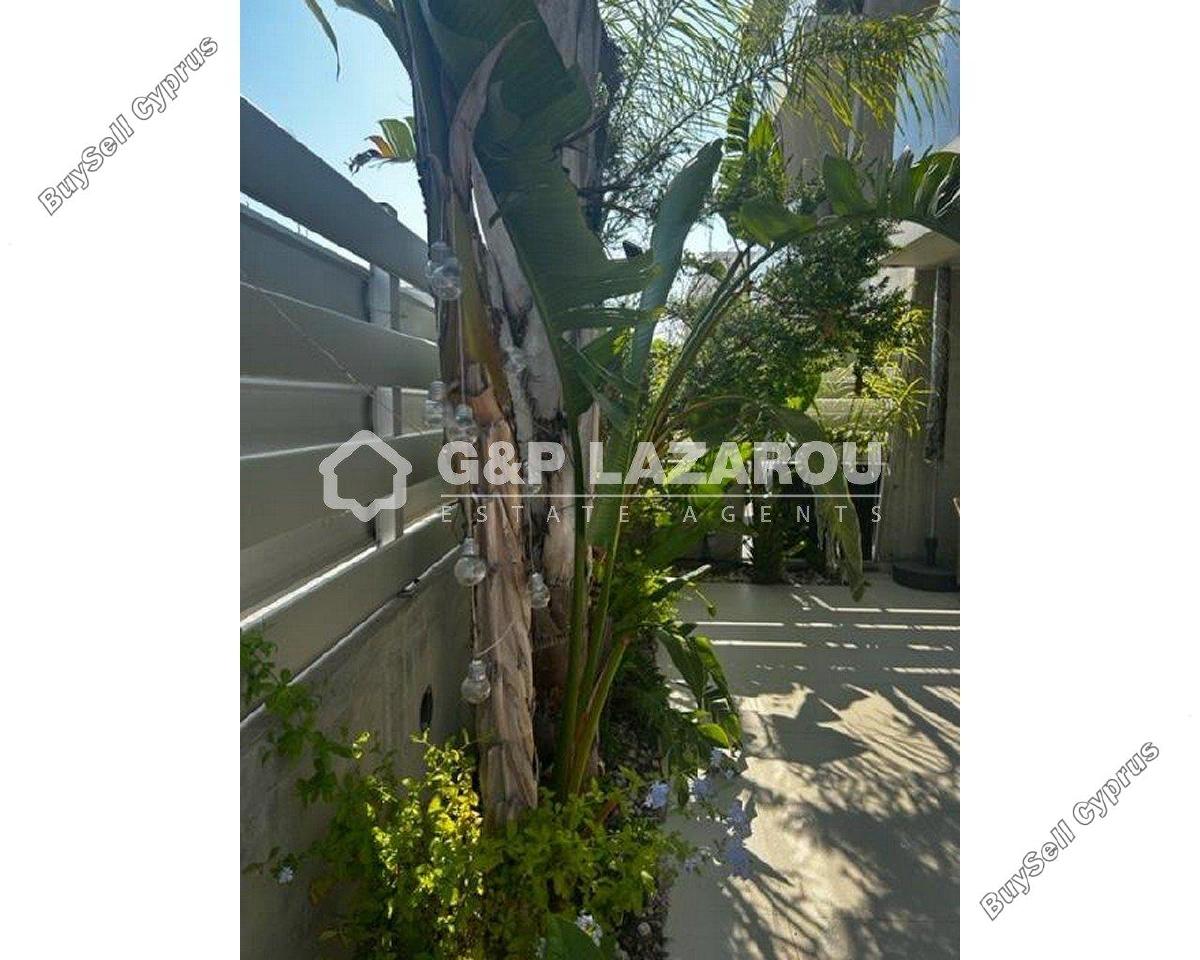 2 bedroom ground floor apartment for rent strovolos nicosia 1581275 image 16783465