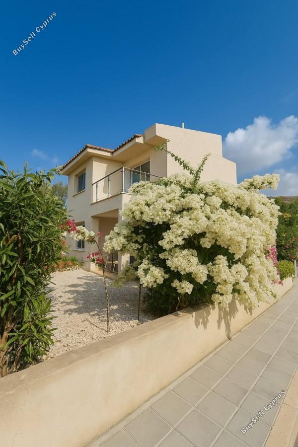 3 bedroom detached house for sale coral bay paphos 1355275 image 11365295