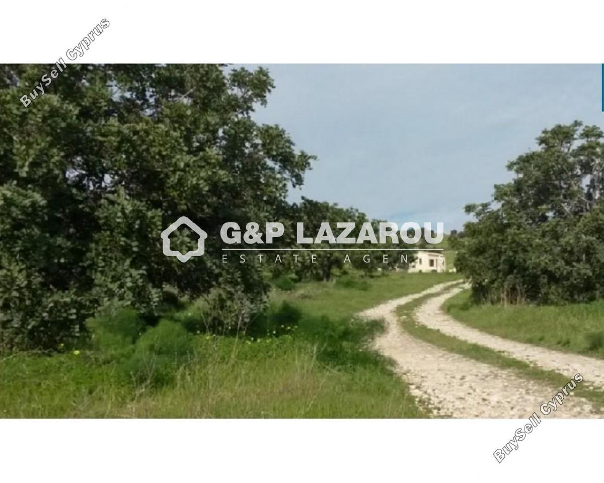 land for sale alaminos larnaca 1689375 image 6015071