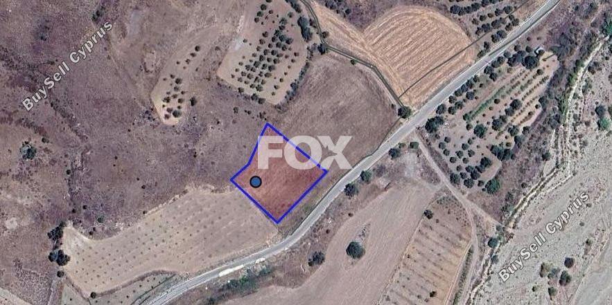 land for sale amargeti paphos 1393375 image 11089341