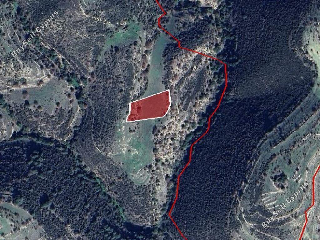 land for sale dora limassol 1336375 image 15600345