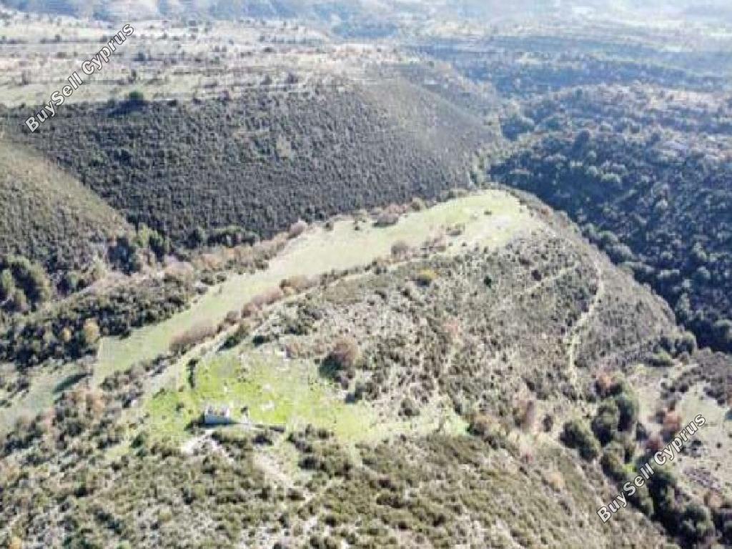 land for sale dora limassol 1336375 image 15600346