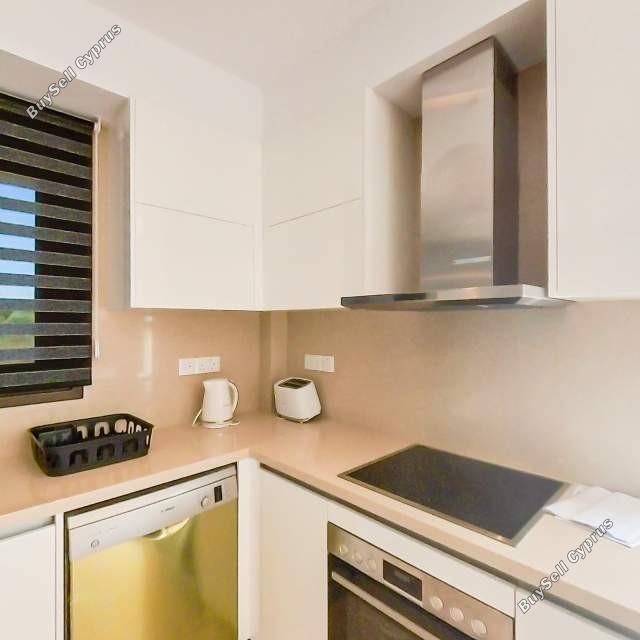 3 bedroom detached house for sale secret valley paphos 1355475 image 12374765