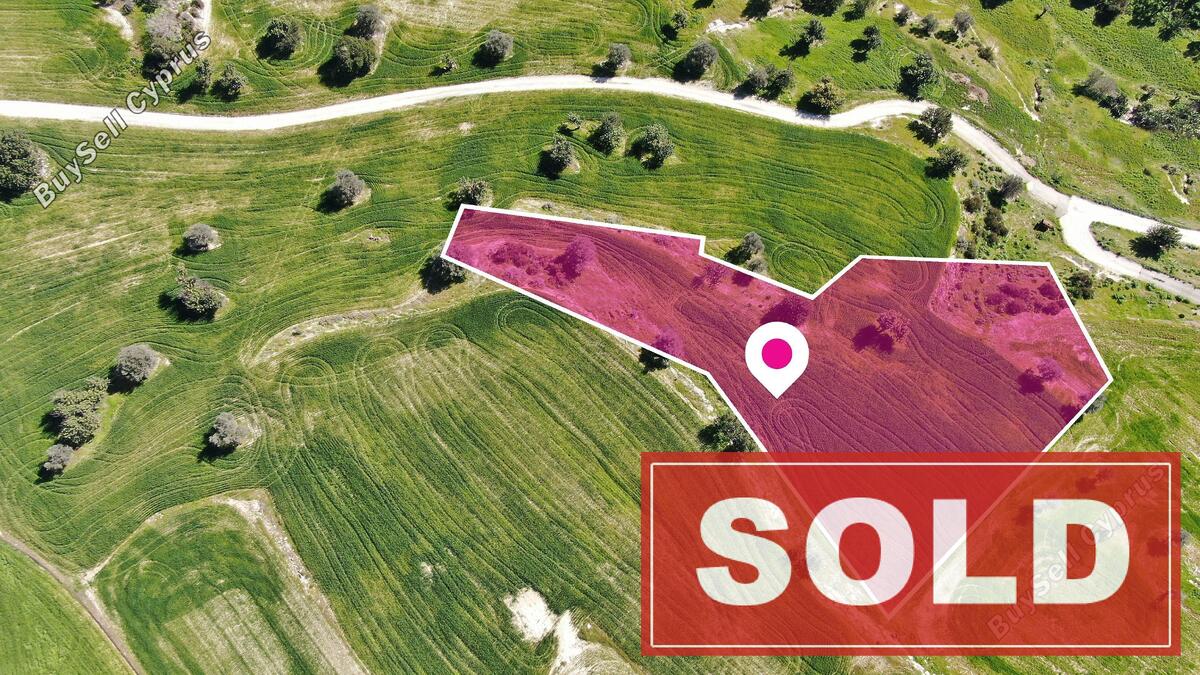 land sold agios theodoros larnacas larnaca 1057475 image 2678905