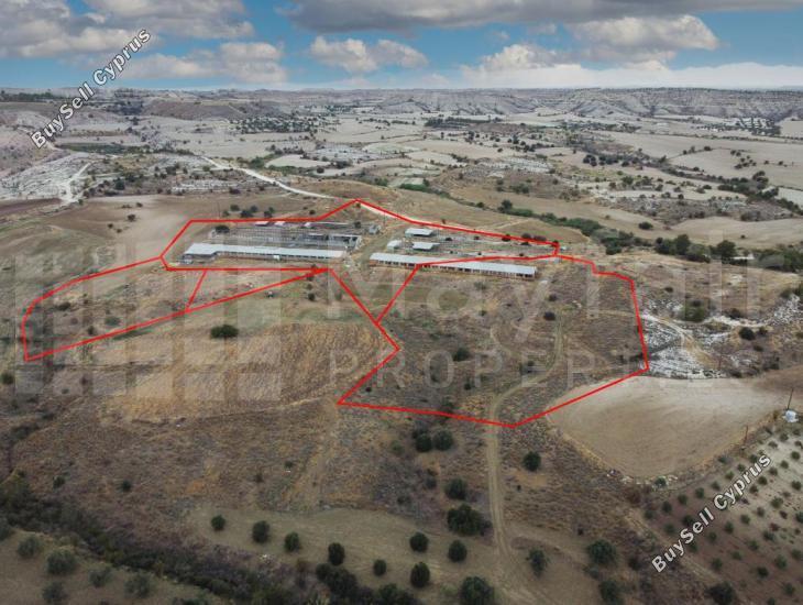 plot for sale analiontas nicosia 7871475 image 11381400