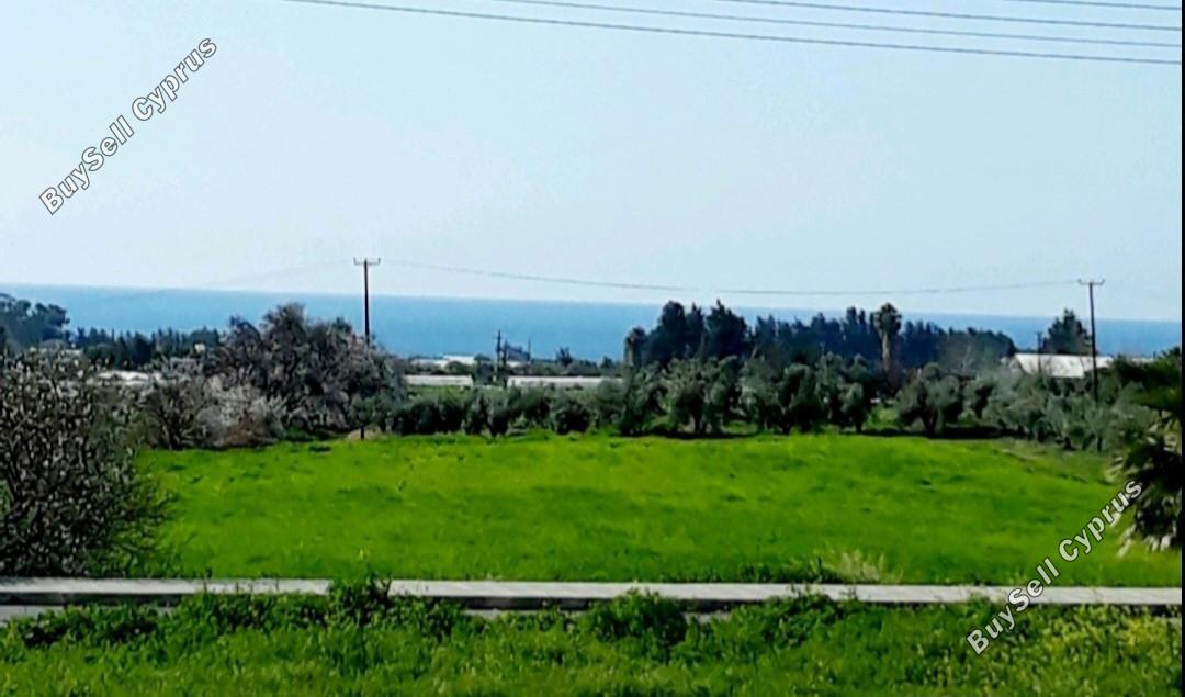 13378 SQM Plot for sale in Timi, Paphos 15093875