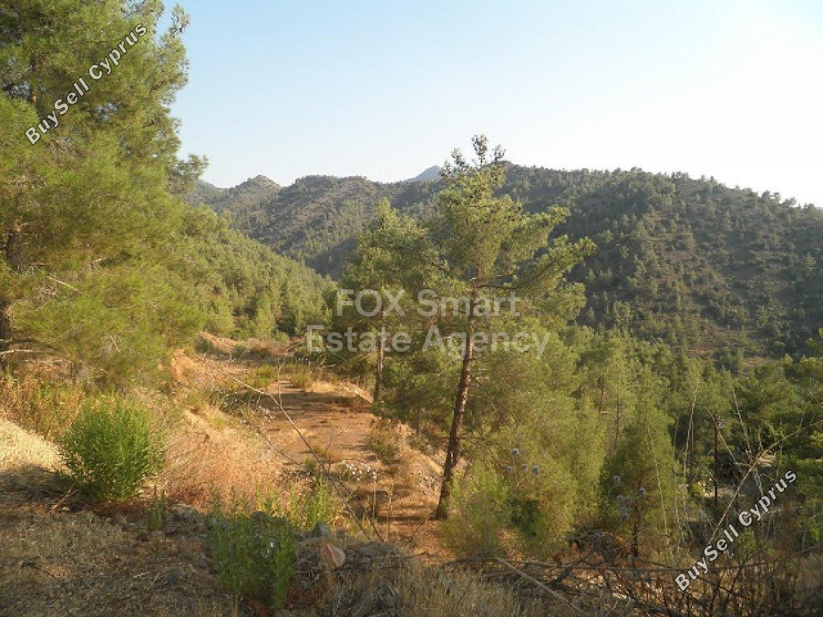 4 bedroom detached house for sale gourri nicosia 1151575 image 11494421