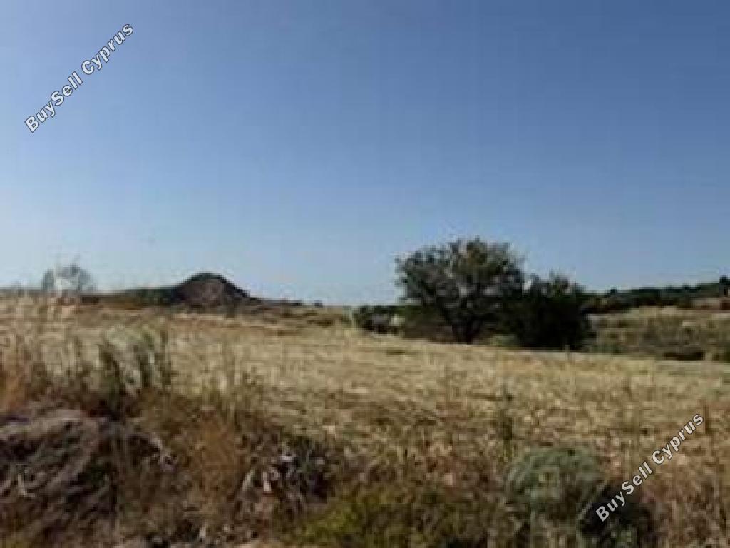 land for sale lasa paphos 8526575 image 15595034