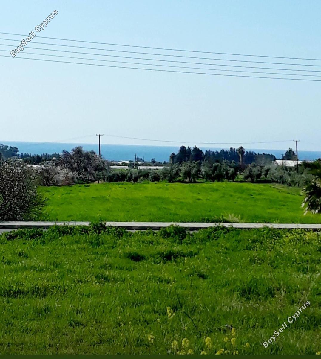 plot for sale timi paphos 8325575 image 15093869