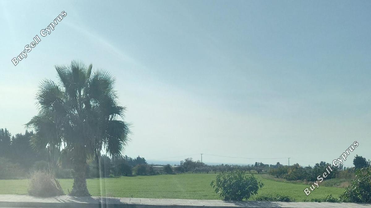 plot for sale timi paphos 8325575 image 15093870