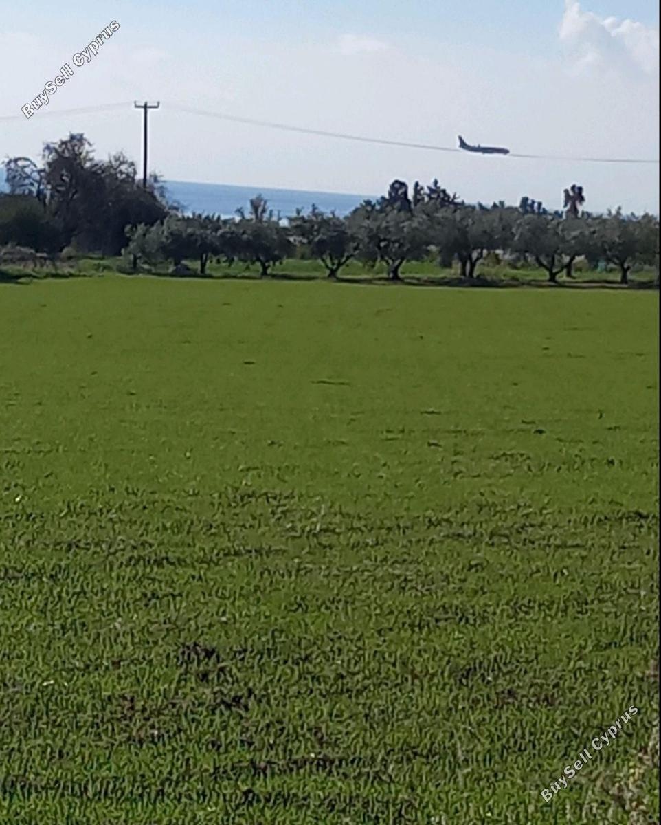 plot for sale timi paphos 8325575 image 15093872