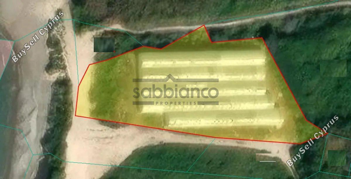 land for rent kissonerga paphos 8748675 image 16467537