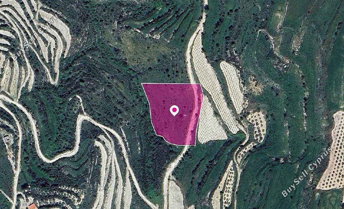 land for sale koili paphos 1897675 image 14207312