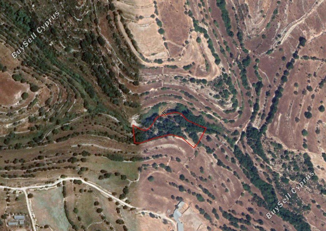 land for sale dora limassol 1194775 image 5570497