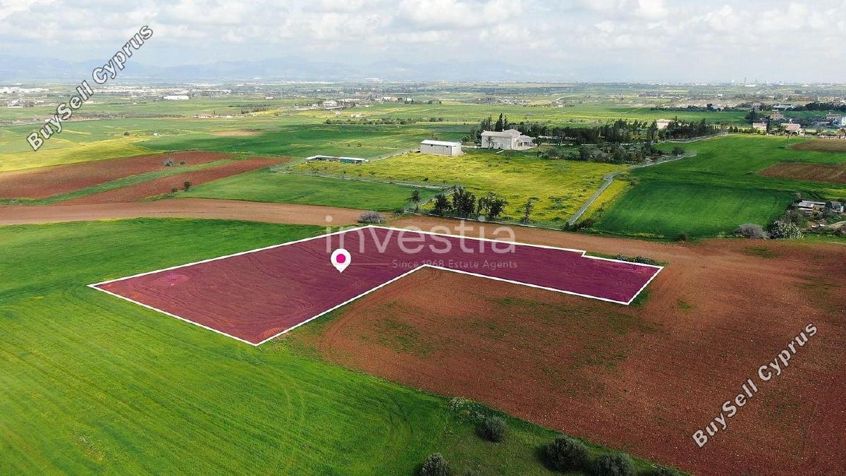 land for sale agioi trimithias nicosia 8702875 image 16229138