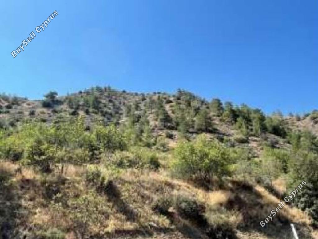 land for sale farmakas nicosia 945875 image 7640542