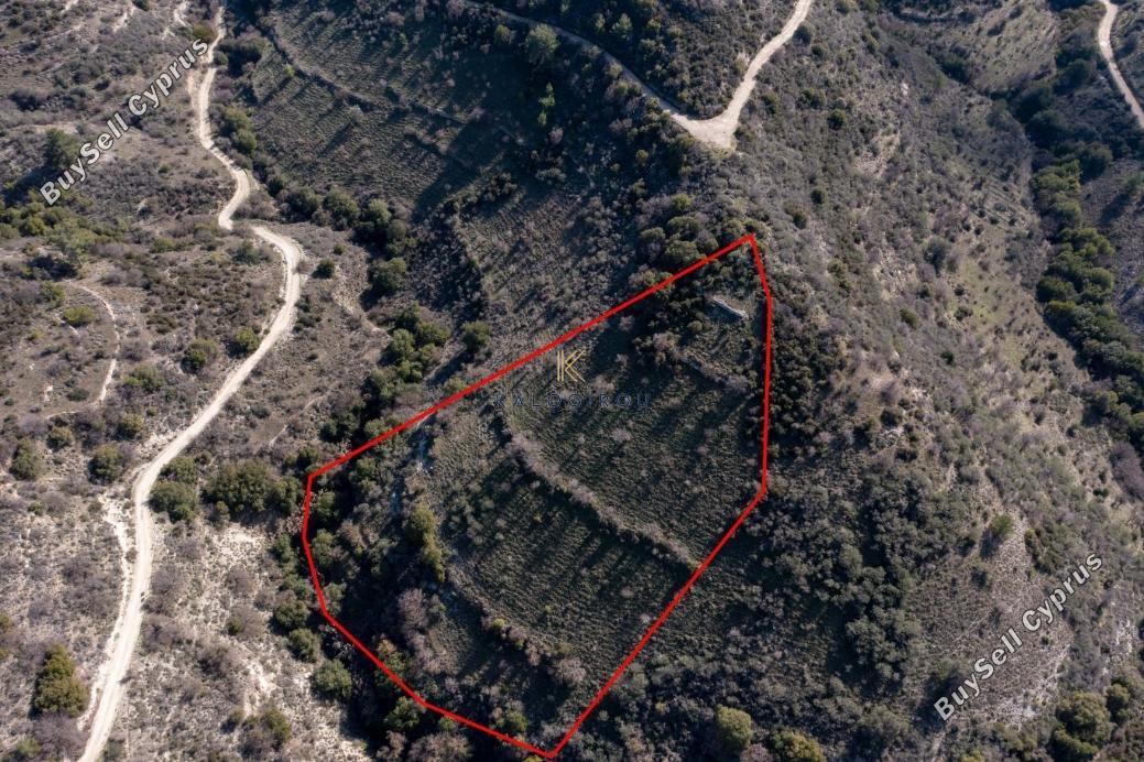 plot for sale dora limassol 1650975 image 5680490