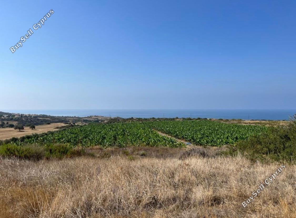 plot for sale kouklia pafou paphos 8441975 image 15031538