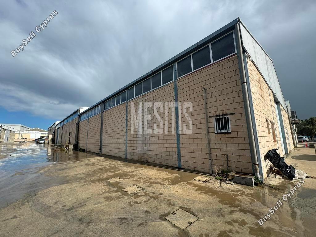 studio warehouse for rent dali nicosia 8526975 image 15450641