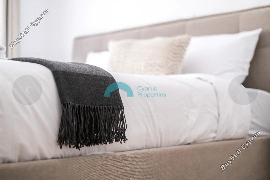 1 bedroom apartment for rent paphos municipality paphos 8936085 image 17632897