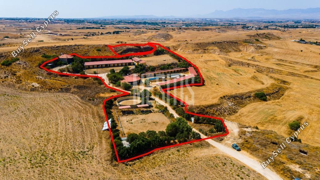 18517 SQM Land for sale in Psimolofou, Nicosia 11042739
