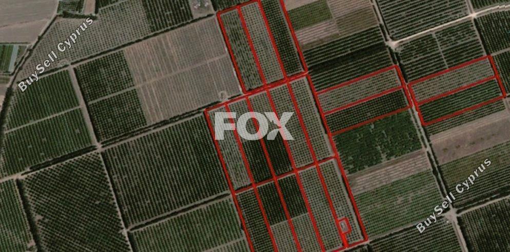 169227 SQM Land for sale in Akrotiri, Limassol 15462883