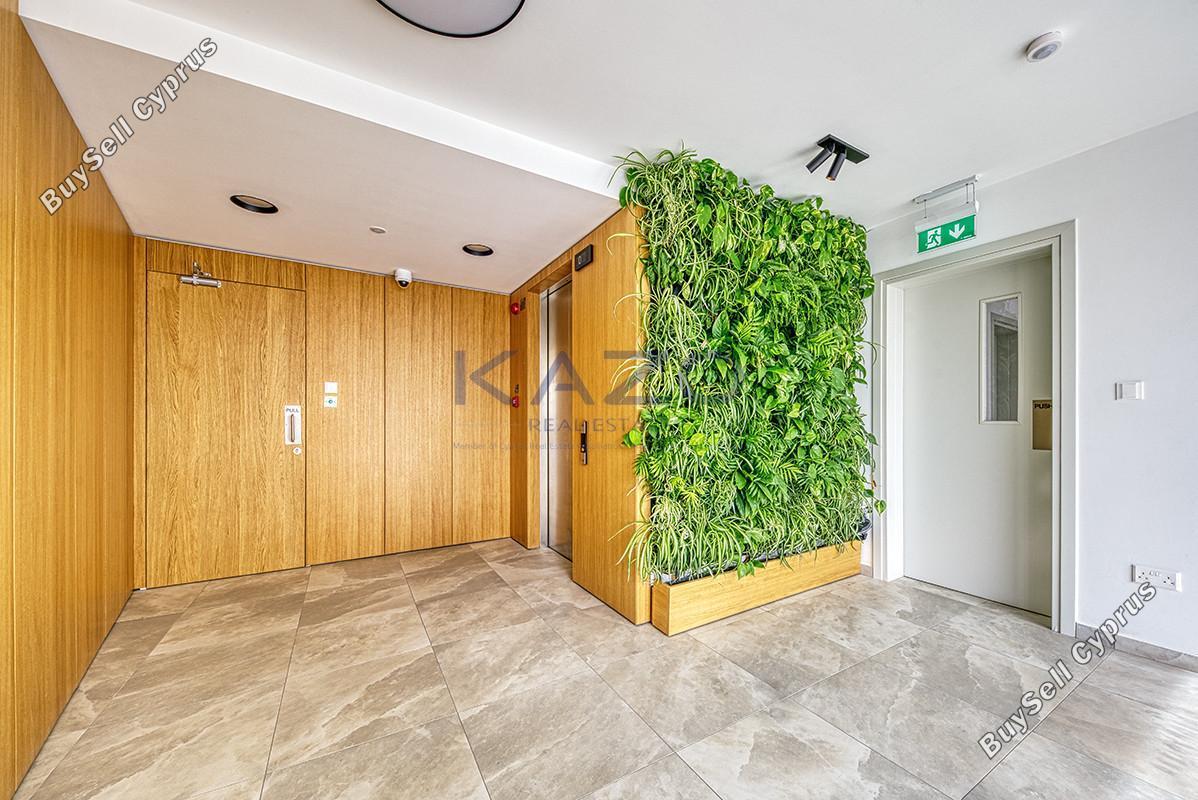 2 bedroom apartment for rent katholiki limassol 8926085 image 17604514