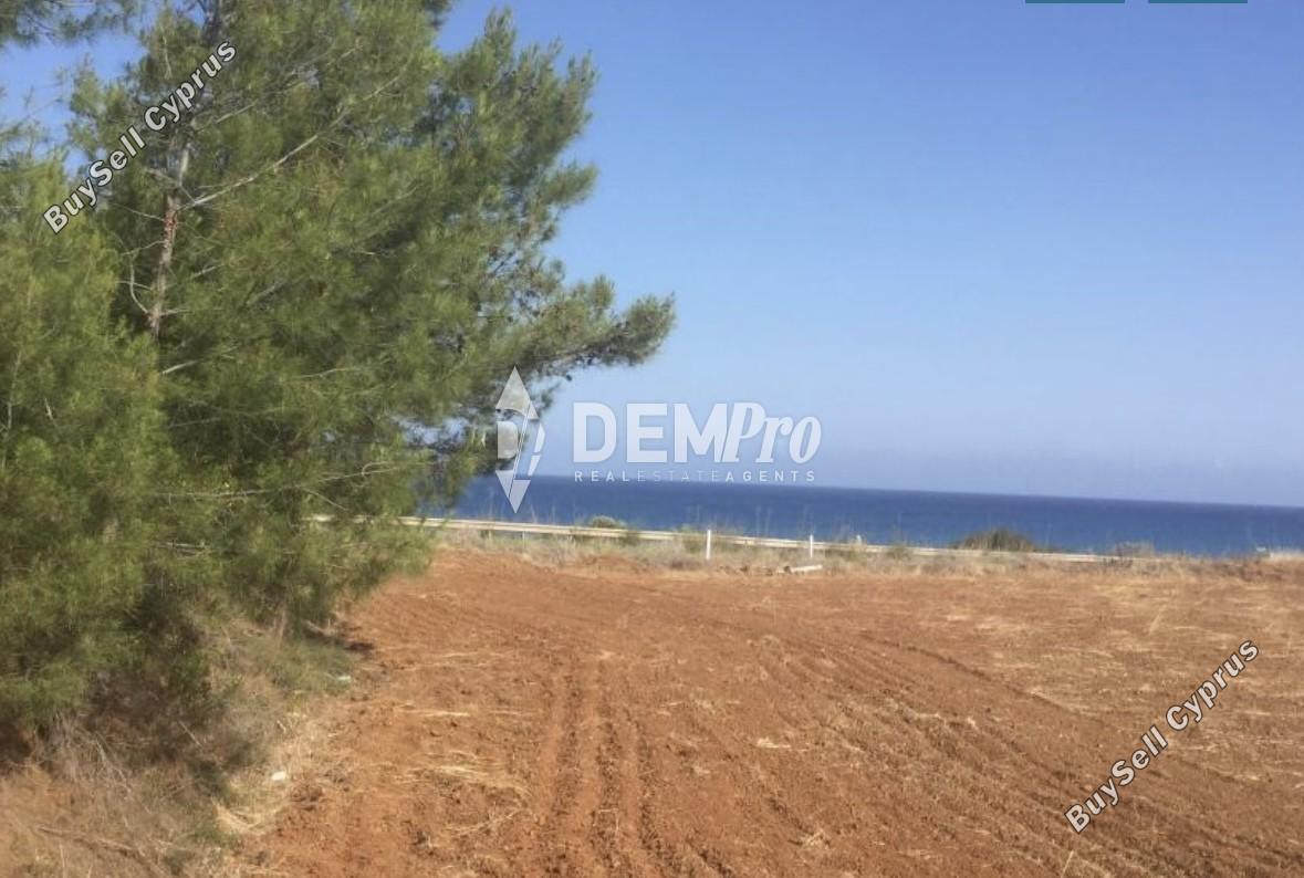 land for sale nea dimmata paphos 7812085 image 12686710