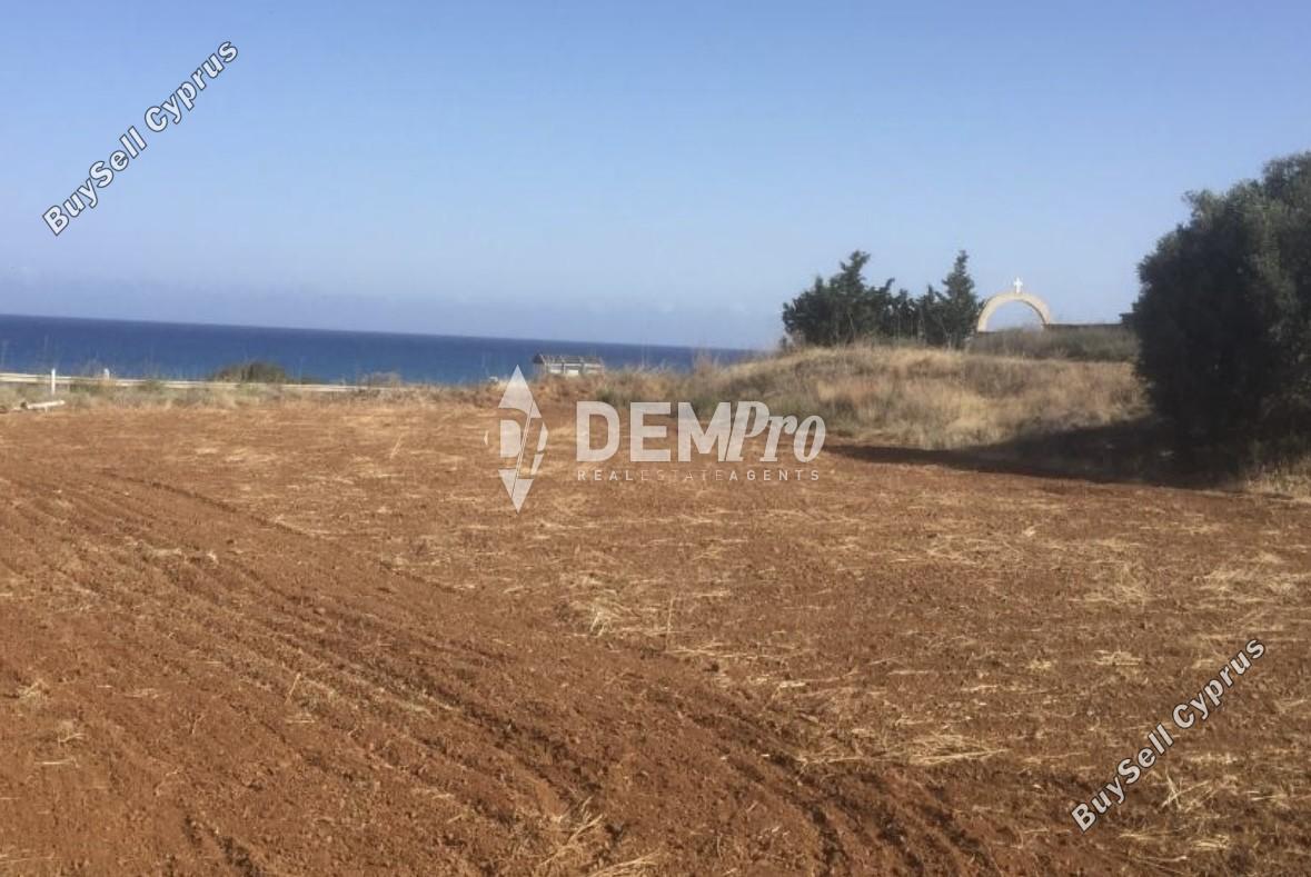 land for sale nea dimmata paphos 7812085 image 12686713