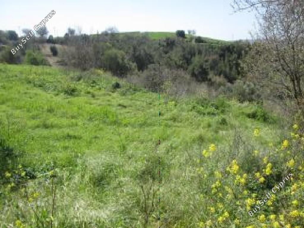 land for sale drimou paphos 8532185 image 16306595