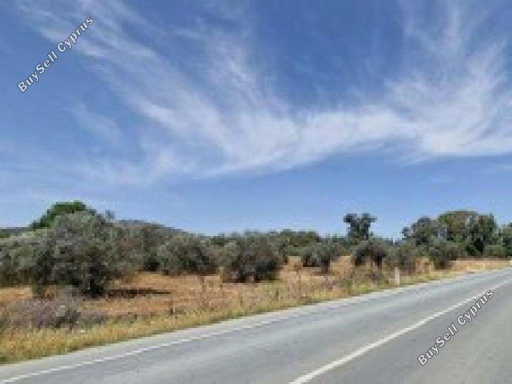 land for sale kornos larnaca 8562185 image 15594552
