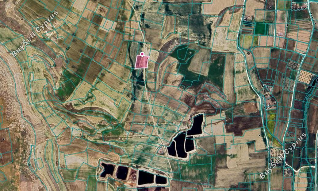 land for sale kokkinotrimithia nicosia 8317285 image 14183220