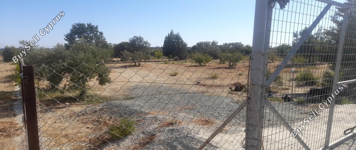 land for sale tochni larnaca 1245285 image 16192788