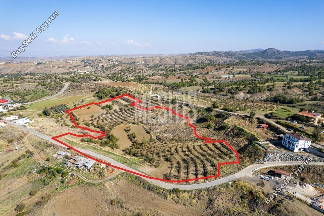 31952 SQM Plot for sale in Nikitari, Nicosia 10488735