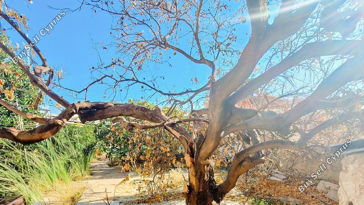 2 bedroom detached house for sale oroklini larnaca 7915385 image 15021658